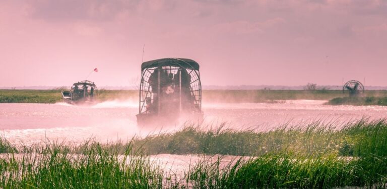 10 Best Everglades Airboat Tours, Florida