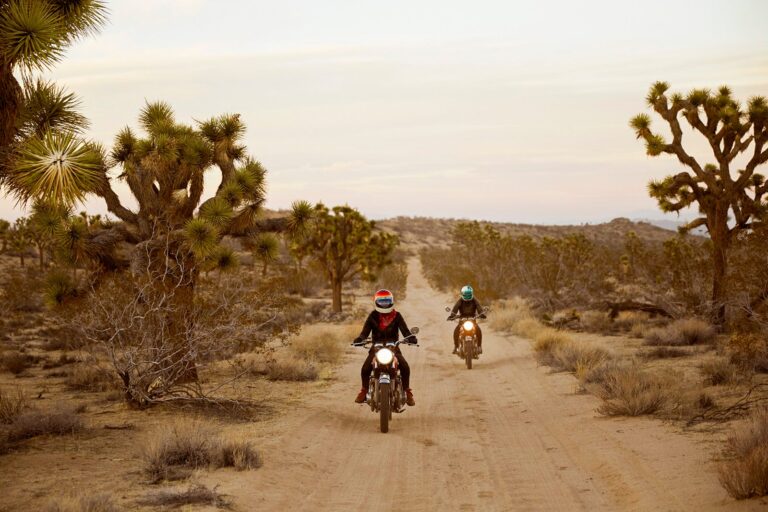 Everything you need to know about visiting Joshua Tree National Park